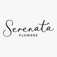 Serenata Flowers Hitchin